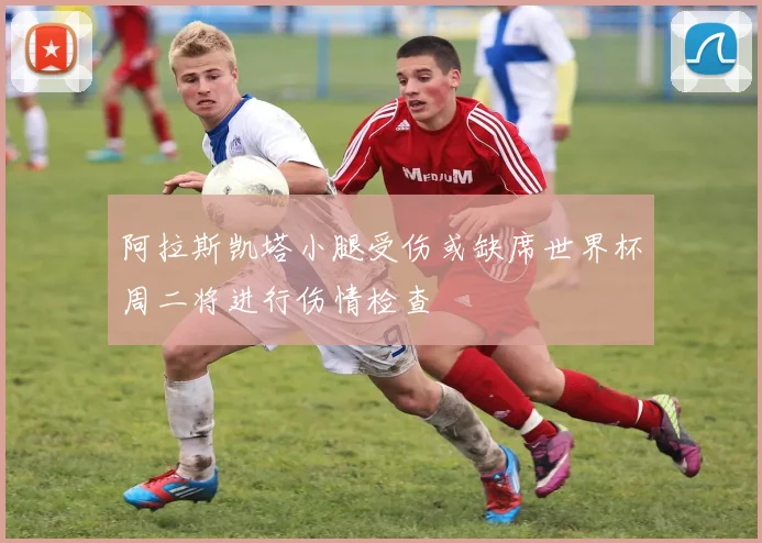 阿拉斯凯塔小腿受伤或缺席世界杯周二将进行伤情检查
