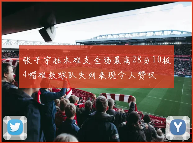 张子宇独木难支全场最高28分10板4帽难救球队失利表现令人赞叹